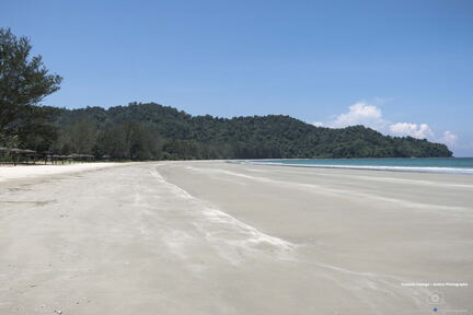 MALAISIE-BORNEO 2023
