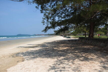 MALAISIE-BORNEO 2023