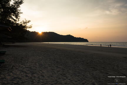MALAISIE-BORNEO 2023