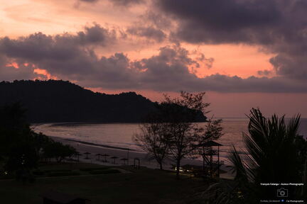 MALAISIE-BORNEO 2023