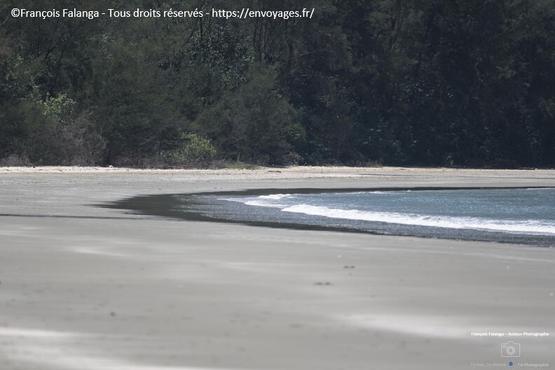 Fsai231009_Borneo_Nexus_18.jpg