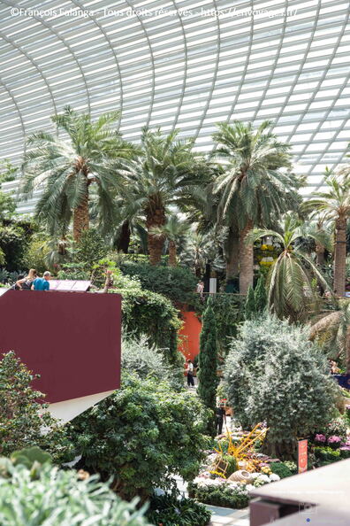Fsai231013_Singapour_146.jpg
