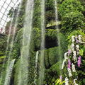 SINGAPOUR 2023