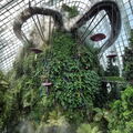 SINGAPOUR 2023