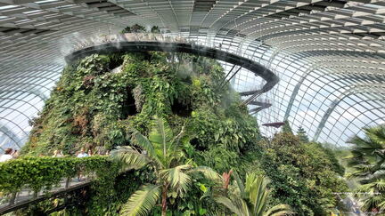 SINGAPOUR 2023