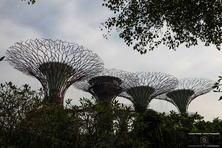 SINGAPOUR 2023