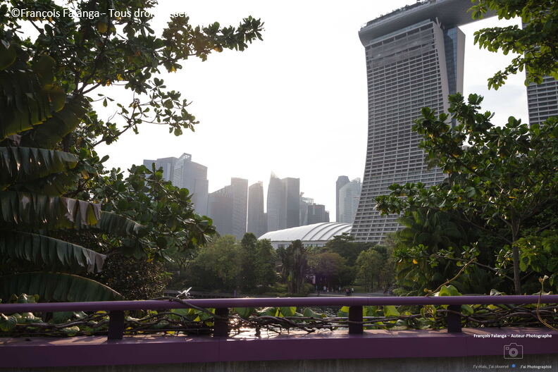Fsai231013_Singapour_165.jpg