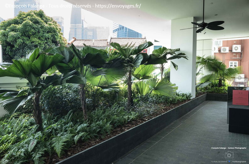 Fsai231013_Singapour_28.jpg