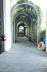 Singapour. Hôtel Mondrian Duxton.