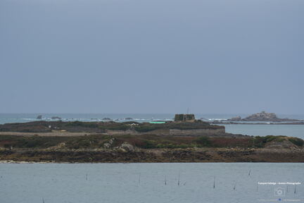 Bretagne - Baie des Anges