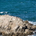 Bretagne - Pointe St Mathieu