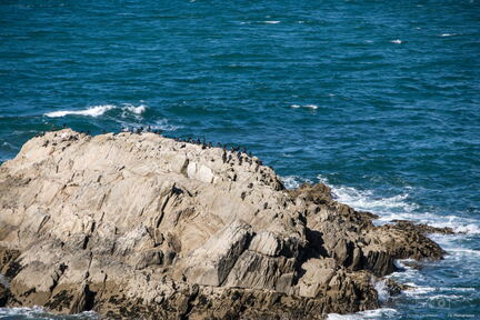 Bretagne - Pointe St Mathieu