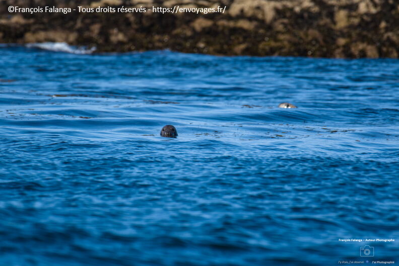Fsai210929_128_Bretagne_Le Conquet.JPG