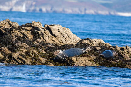 Bretagne - Le Conquet