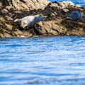 Bretagne - Le Conquet
