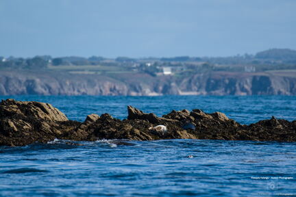 Bretagne - Le Conquet