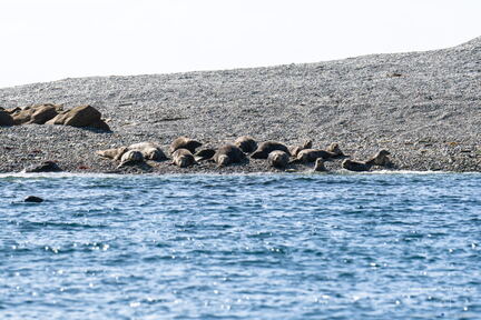 Bretagne - Le Conquet