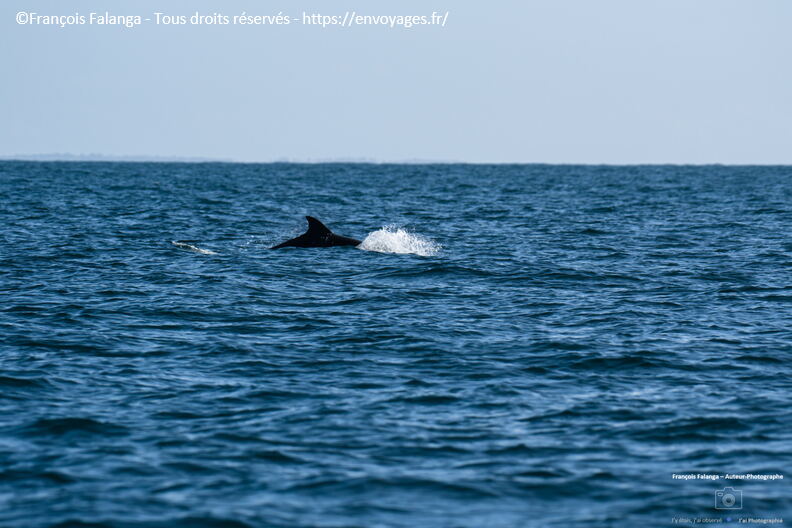 Fsai210929_284_Bretagne_Le Conquet.JPG