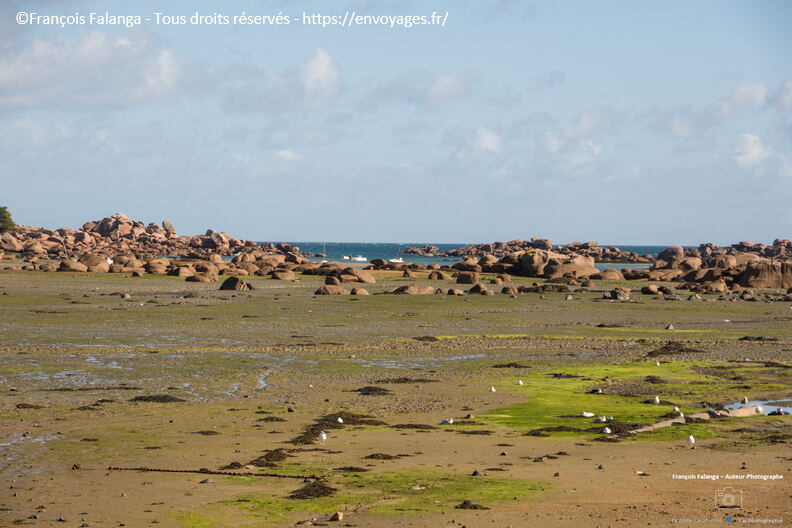 Fsai211003_011_Bretagne_Tregastel.JPG