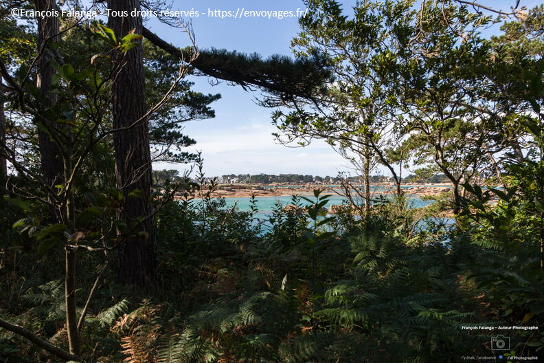 Fsai211003_049_Bretagne_Ploumanach.JPG
