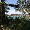 Bretagne - Ploumanach