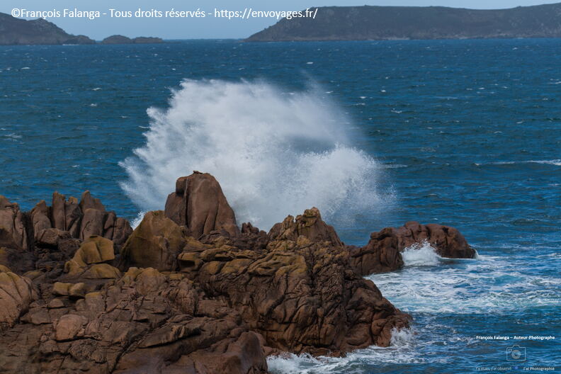 Fsai211003_109_Bretagne_Ploumanach.JPG