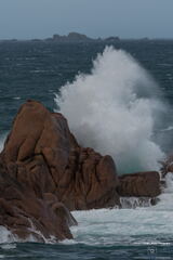 Bretagne - Ploumanach