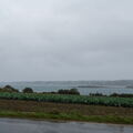 Bretagne - Baie de Morlaix