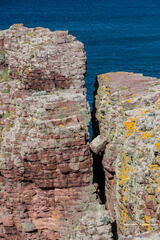 Bretagne - Cap Frehel