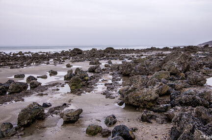 TROUVILLE - NOEL 2015