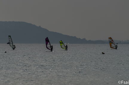 TROUVILLE - OCTOBRE 2016