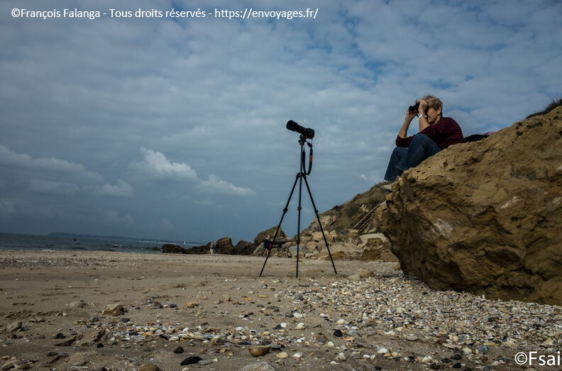 TROUVILLE - Ocotbre 2016 - 037.JPG