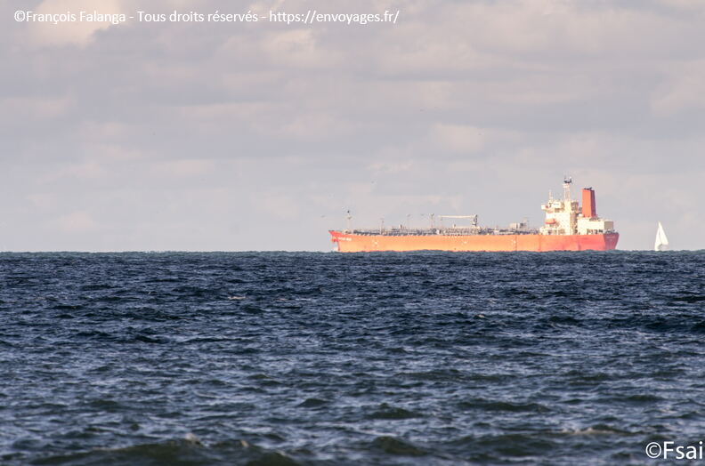 TROUVILLE - Ocotbre 2016 - 113.JPG