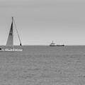 TROUVILLE - PACQUES 2016