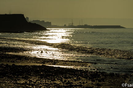 Trouville - JANVIER 2017