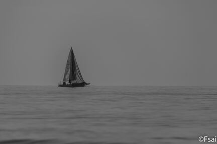 Trouville - JANVIER 2017