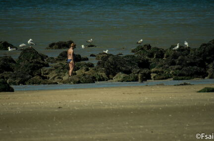 TROUVILLE - MAI 2017