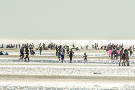 TROUVILLE - MAI 2017