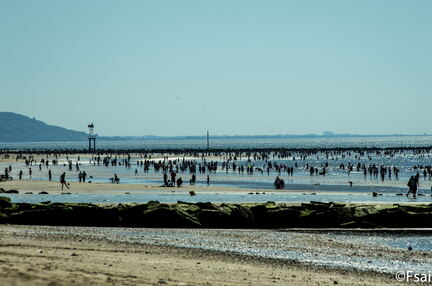 TROUVILLE - MAI 2017