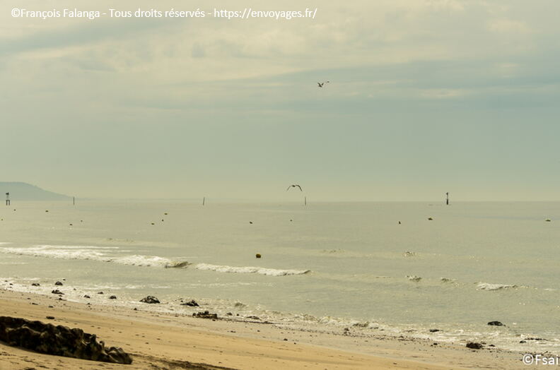 Trouville - Mai 2017 - 377.JPG