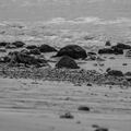 TROUVILLE - MAI 2017