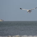 138 - Trouville Dec 2013 -  plage