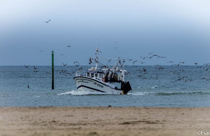 037-Trouville-octobre-2014