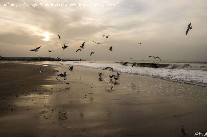 TROUVILLE NOEL 2015-077.JPG