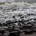 789 - Trouville Dec 2013 - Plage