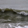 815 - Trouville Dec 2013 - Plage