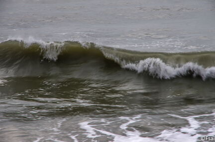 815 - Trouville Dec 2013 - Plage