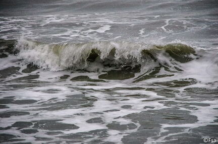 829 - Trouville Dec 2013 - Plage