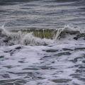847 - Trouville Dec 2013 - Plage