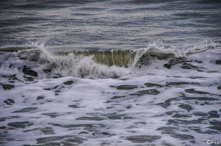 847 - Trouville Dec 2013 - Plage